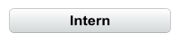 Intern