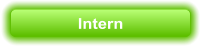 Intern